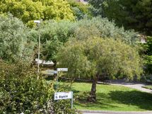 Appartamento Alice - Cervo