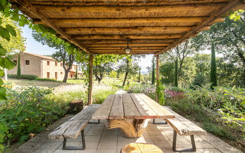 Fonte Della Chiana: Pianta, Natura, Shade, Legna, Finestra, Botanica, Albero, Erba, Vegetazione, Biome