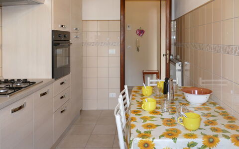 Angelo: Proprietà, Cabinetry, Mobilia, Costruzione, Porta, Dishware, Bicchieri, Controsoffitto, Stemware, Pavimento