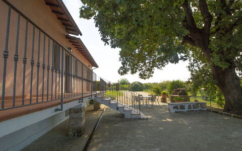 La Quercia: Costruzione, Pianta, Finestra, Manto Stradale, Cielo, Albero, Shade, Urban Design, Immobiliare, Legna