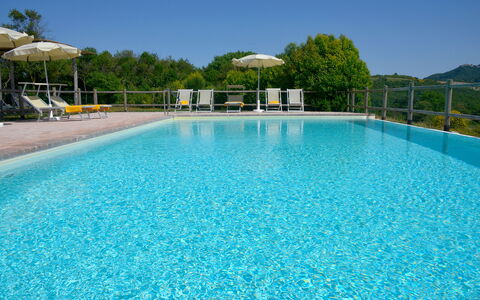 Villa Guardistallo: Acqua, Cielo, Proprietà, Piscina, Azzurro, Corpo D'Acqua, Albero, Tempo Libero, Aqua, Pianta