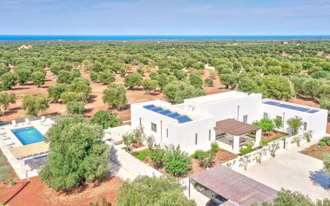 Villa Orama Estia Relais: Cielo, Giorno, Pianta, Vegetazione, Lotto, Albero, Urban Design, Costruzione, Quartiere, Zona Residenziale