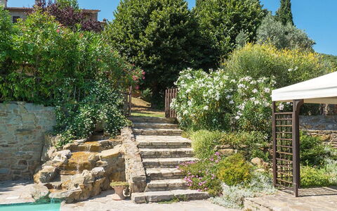Villa Taragnano: Pianta, Proprietà, Cielo, Botanica, Fiore, Vegetazione, Lotto, Biome, Paesaggio, Area Rurale