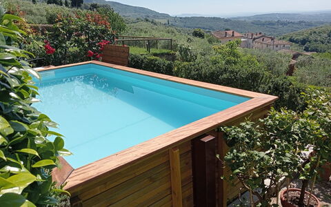 Alla Collina Del Sole: Legna, Piscina, Materiale Composito, Tempo Libero, Color Legno, Giardino, Backyard, Eco Hotel, Latifoglie, Shade