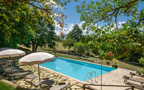 Villa Lucarella: Piscina, Mobili Da Esterno, Ricorrere, Tempo Libero, Giardino, Shade, Eco Hotel, Lettino, Backyard, Estate