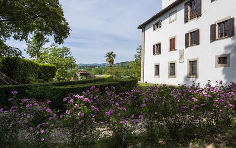 Villa Vigliano: Fiore, Cielo, Pianta, Costruzione, Nube, Proprietà, Finestra, Viola, Vegetazione, Albero