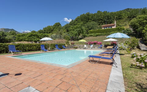 Villa Rosata: Acqua, Pianta, Cielo, Mobilia, Sedia, Costruzione, Piscina, Ombrello, Albero, Mobili Da Esterno