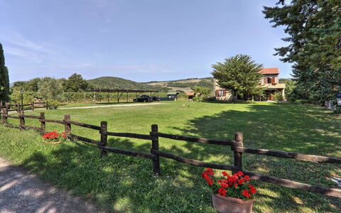 Villa Le Selvole: Cielo, Pianta, Nube, Albero, Paesaggio Naturale, Recinzione, Lotto, Erba, Arbusto