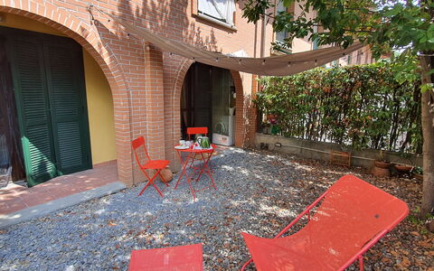 Bianca: Proprietà, Mobilia, Foglia, Costruzione, Porta, Pianta, Shade, Manto Stradale, Legna, Mobili Da Esterno