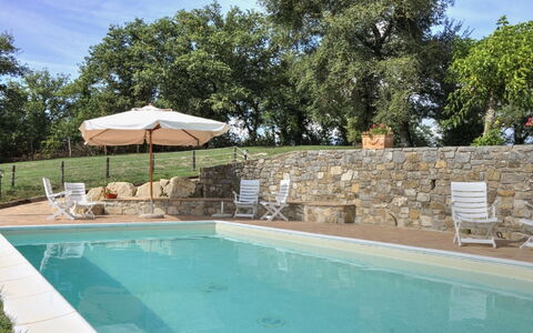 Villa Di Gaiole: Acqua, Pianta, Piscina, Cielo, Azzurro, Albero, Sedia, Shade, Nube, Corpo D'Acqua
