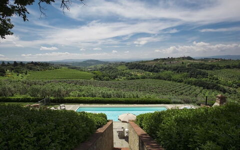 Chianti Fornace 1: Nube, Cielo, Acqua, Pianta, Risorse Idriche, Paesaggio Naturale, Vegetazione, Albero, Piscina, Erba