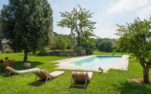 Villa Monia: Pianta, Acqua, Cielo, Proprietà, Verde, Nube, Albero, Piscina, Erba, Mobili Da Esterno