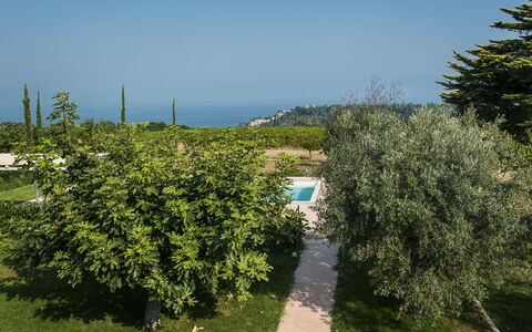Villa Degli Aranci: Cielo, Pianta, Comunita 'Impianto, Paesaggio Naturale, Vegetazione, Lotto, Erba, Biome, Arbusto, Agricoltura