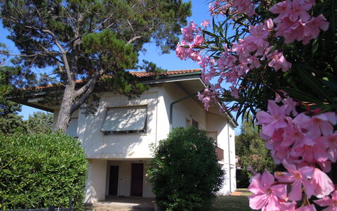 Casa Argentario: Fiore, Pianta, Cielo, Giorno, Finestra, Costruzione, Natura, Botanica, Albero, Ramo