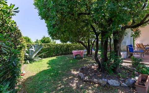 Villa Il Pesco: Pianta, Proprietà, Natura, Foglia, Albero, Vegetazione, Cielo, Biome, Erba, Woody Impianto