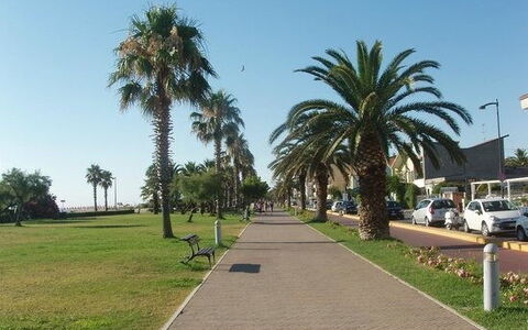 Villa Clair: Albero, Spazio Pubblico, Ricreazione, Passerella, Woody Impianto, Marciapiede, Shade, Tempo Libero, Vacanza