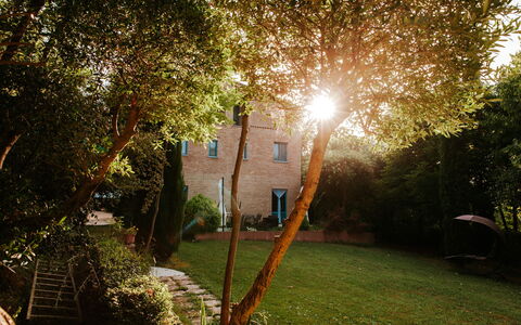 Villa Millefiori: Pianta, Foglia, Albero, Ramo, Illuminazione, Luce Del Sole, Paesaggio Naturale, Street Luce, Vegetazione, Erba