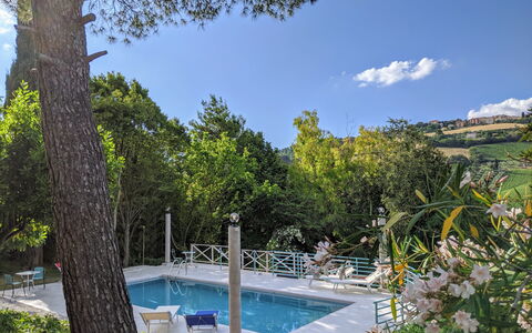 Villa Millefiori: Acqua, Pianta, Cielo, Nube, Piscina, Paesaggio Naturale, Albero, Shade, Tempo Libero, Immobiliare