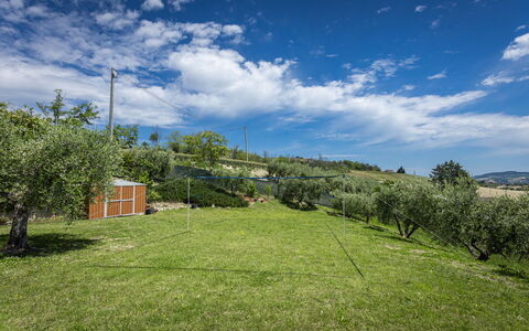 La Casa Di Campagna: Erba, Paesaggio, Pascolo, Plain, Lotto, Area Rurale, Pascolo, Prato, Campo, Prato
