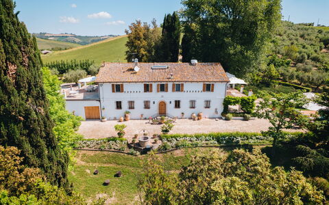 Villa La Picena: Casa, Estate, Casa, Dimora, Villa, Giardino, Landscaping, Hacienda, Agriturismo, Piantagione