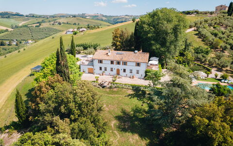 Villa La Picena: Estate, Dimora, Villa, Hacienda, Cibo, Piscina, Piantagione, Eco Hotel, Agriturismo