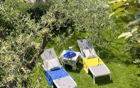 Villa La Rodina - Diano Marina: Pianta, Comunita 'Impianto, Paesaggio Naturale, Vegetazione, Lotto, Erba, Biome, Albero, Arbusto, Groundcover