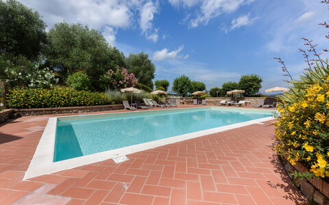 Villa Varna: Acqua, Pianta, Nube, Cielo, Proprietà, Piscina, Corpo D'Acqua, Albero, Fiore, Shade