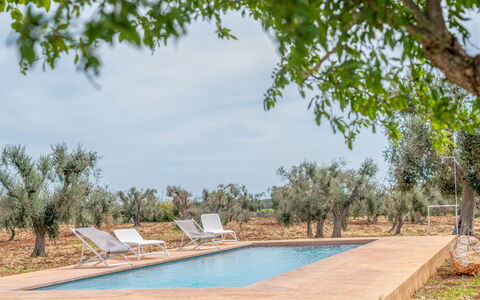 Bianco Trullo: Acqua, Pianta, Cielo, Piscina, Nube, Albero, Shade, Paesaggio Naturale, Sedia, Zona Residenziale