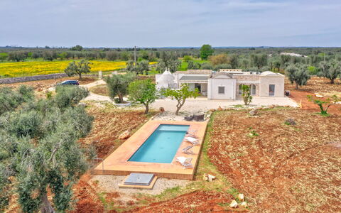 Bianco Trullo: Cielo, Pianta, Proprietà, Costruzione, Finestra, Albero, Lotto, Piscina, Casa, Zona Residenziale