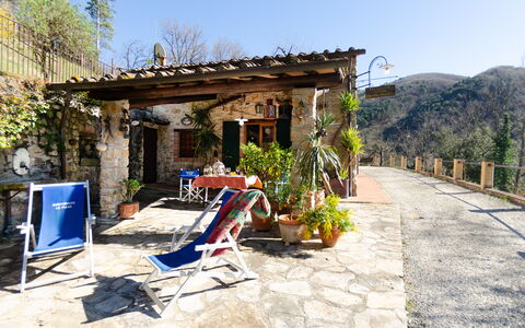Le Piane: Pianta, Cielo, Costruzione, Proprietà, Shade, Albero, Area Rurale, Mobili Da Esterno, Finestra, Quartiere