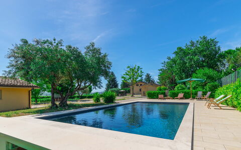 Sunrise Hill Holiday Home: Acqua, Cielo, Pianta, Piscina, Costruzione, Albero, Nube, Corpo D'Acqua, Arecales, Erba