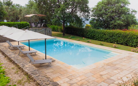 Villa Sant'anna: Acqua, Pianta, Proprietà, Piscina, Shade, Rettangolo, Albero, Cielo, Erba, Mobili Da Esterno