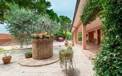 Villa Rosso Corbezzolo: Pianta, Proprietà, Vaso Di Fiori, Costruzione, Fiore, Pianta Della Casa, Manto Stradale, Architettura, Quartiere, Pavimentazione