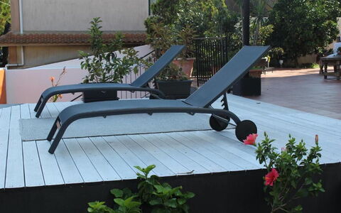 Tre Donne: Pianta, Mobili Da Esterno, Shade, Fiore, Legna, Urban Design, Tempo Libero, Albero, Tetto