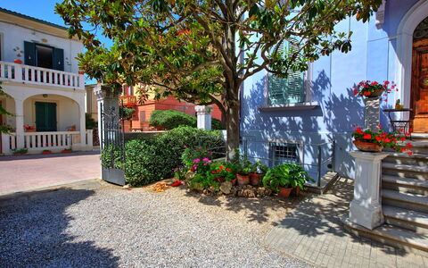 Casa Riva: Pianta, Fiore, Costruzione, Finestra, Proprietà, Vaso Di Fiori, Blu, Manto Stradale, Albero, Pianta Della Casa