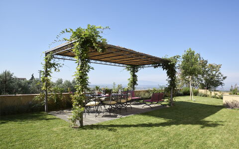 Casa Lionardo: Lotto, Giardino, Shade, Mobili Da Esterno, Groundcover, Pergola, Struttura Esterna, Landscaping, Vaso Di Fiori