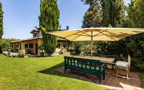 Podere La Torre: Pianta, Tavolo, Cielo, Mobilia, Albero, Panchina, Shade, Mobili Da Esterno, Tavolo Esterno, Lotto