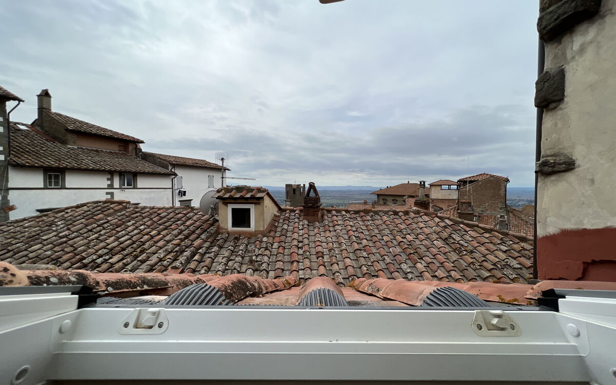 Panoramic view
