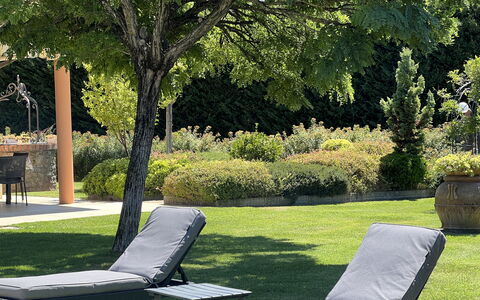Villino Setteponti: Pianta, Luce, Foglia, Botanica, Albero, Shade, Erba, Mobili Da Esterno, Panchina, Tempo Libero