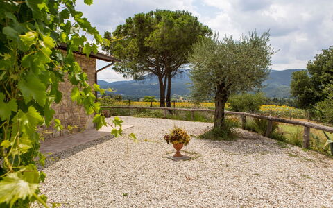 Villa Tavernacce: Cielo, Nube, Pianta, Comunita 'Impianto, Albero, Paesaggio Naturale, Manto Stradale, Lotto, Erba, Arbusto