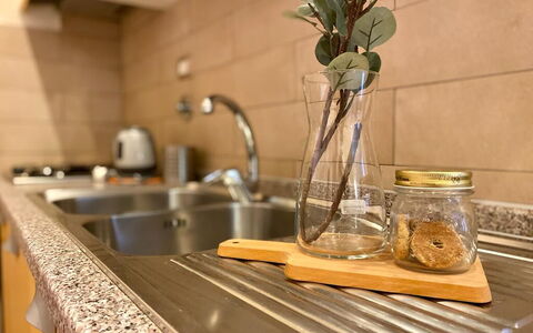 Vintage Apartment in Florence: Lavandino Della Cucina, Lavello, Pianta, Controsoffitto, Rubinetto, Legna, Interior Design, Idraulico Fixture, Cucina, Ramoscello