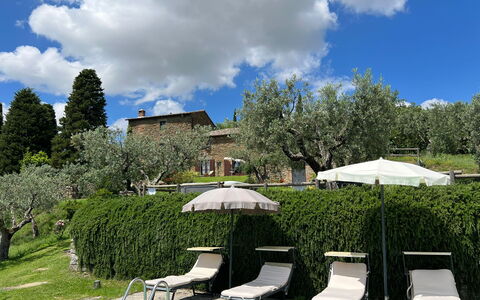 Villa Patrizia: Nube, Pianta, Cielo, Comunita 'Impianto, Ombrello, Natura, Albero, Paesaggio Naturale, Shade, Vegetazione