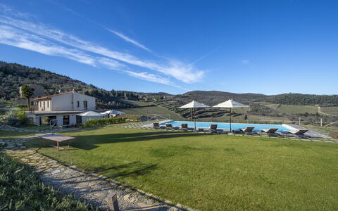 Bella Di Panzano: Cielo, Nube, Pianta, Montagna, Highland, Lotto, Erba, Finestra, Paesaggio Naturale, Pascolo