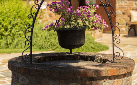 Casa Vacanze Paradiso: Fiore, Pianta, Vaso Di Fiori, Legna, Font, Erba, Metallo, Giardino, Pianta Annuale, Landscaping