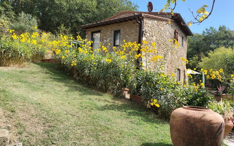 Casa Bosco D'arte Holiday Home , Greve In Chianti,: Fiore, Pianta, Costruzione, Comunita 'Impianto, Finestra, Cielo, Paesaggio Naturale, Albero, Casa, Lotto