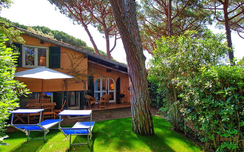 Le Dune: Pianta, Cielo, Costruzione, Natura, Albero, Paesaggio Naturale, Mobili Da Esterno, Erba, Shade, Tavolo