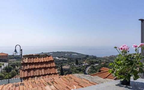 Alloggio:&nbsp;Fico 619.5