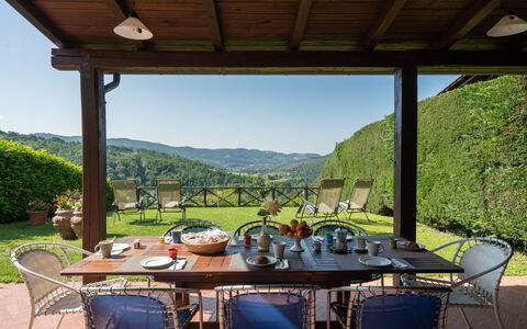 Villa Olivi - Subbiano, Toscana, Pool And Nature: Tavolo, Pianta, Proprietà, Mobilia, Sedia, Cielo, Natura, Shade, Portico, Vaso Di Fiori
