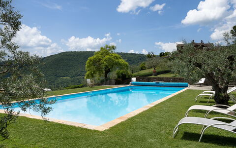 Villa Olivi - Subbiano, Toscana, Pool And Nature: Acqua, Nube, Pianta, Cielo, Proprietà, Piscina, Albero, Paesaggio Naturale, Corpo D'Acqua, Shade