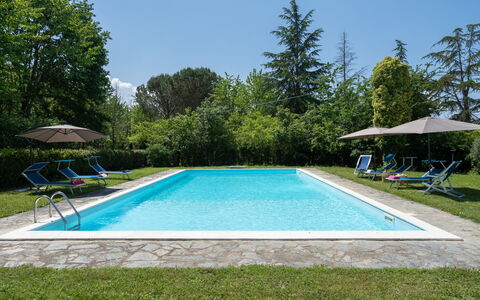 Villa Le Selve: Acqua, Pianta, Piscina, Cielo, Rettangolo, Shade, Albero, Erba, Tempo Libero, Immobiliare
